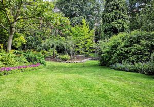 Optimiser l'expérience du jardin à Wittisheim